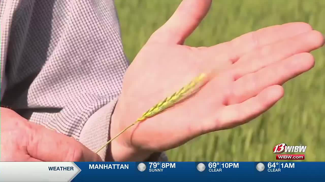 Frequency of droughts could increase in Northeast Kansas - Vimarsana News