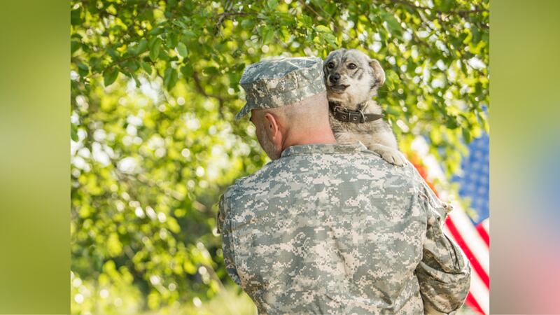 The National Parks Service is waiving fees at all sites to celebrate Veterans Day.