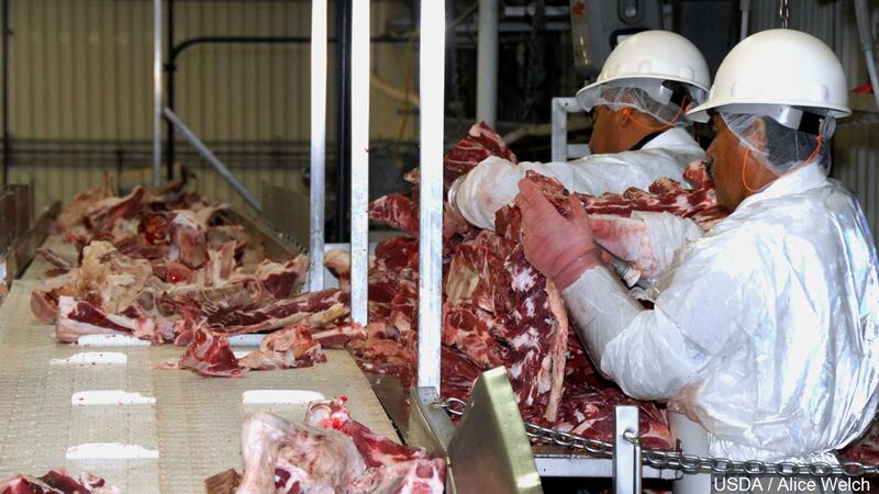 File photo, Sam Kane beef slaughterhouse in Corpus Christi, Texas