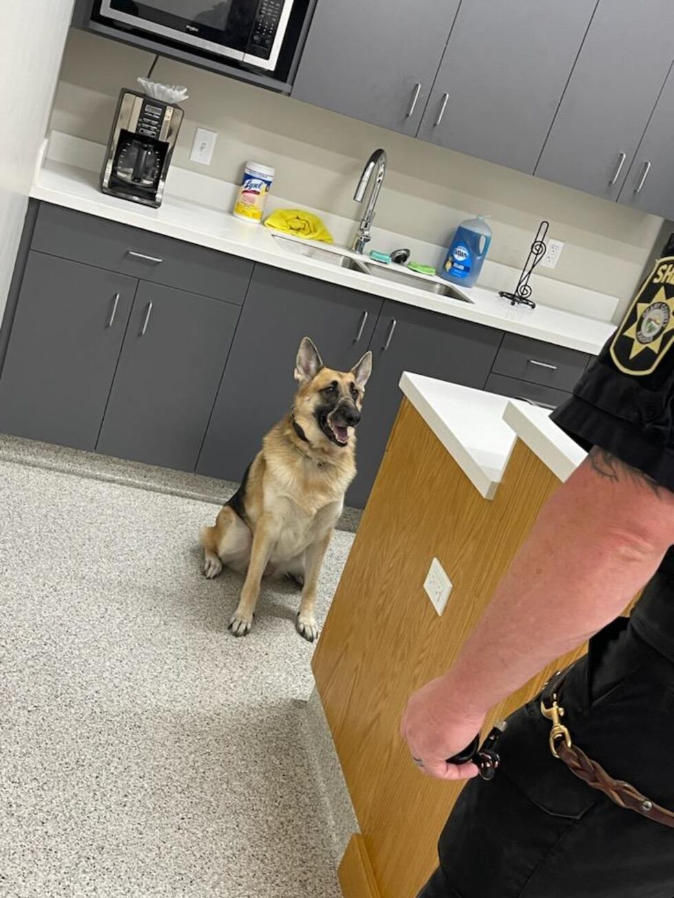 Nova indicates to her handler, Capt. Stopper, she has found something