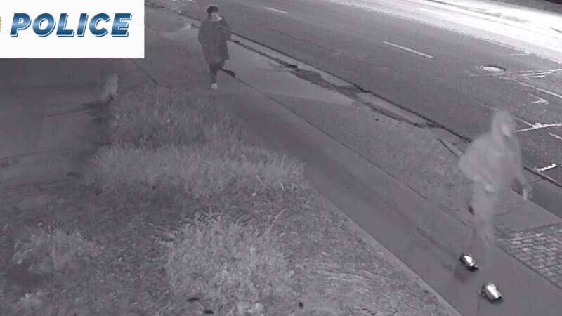 Lawrence Police released a new video showing their lead in a north Lawrence vandalism case.