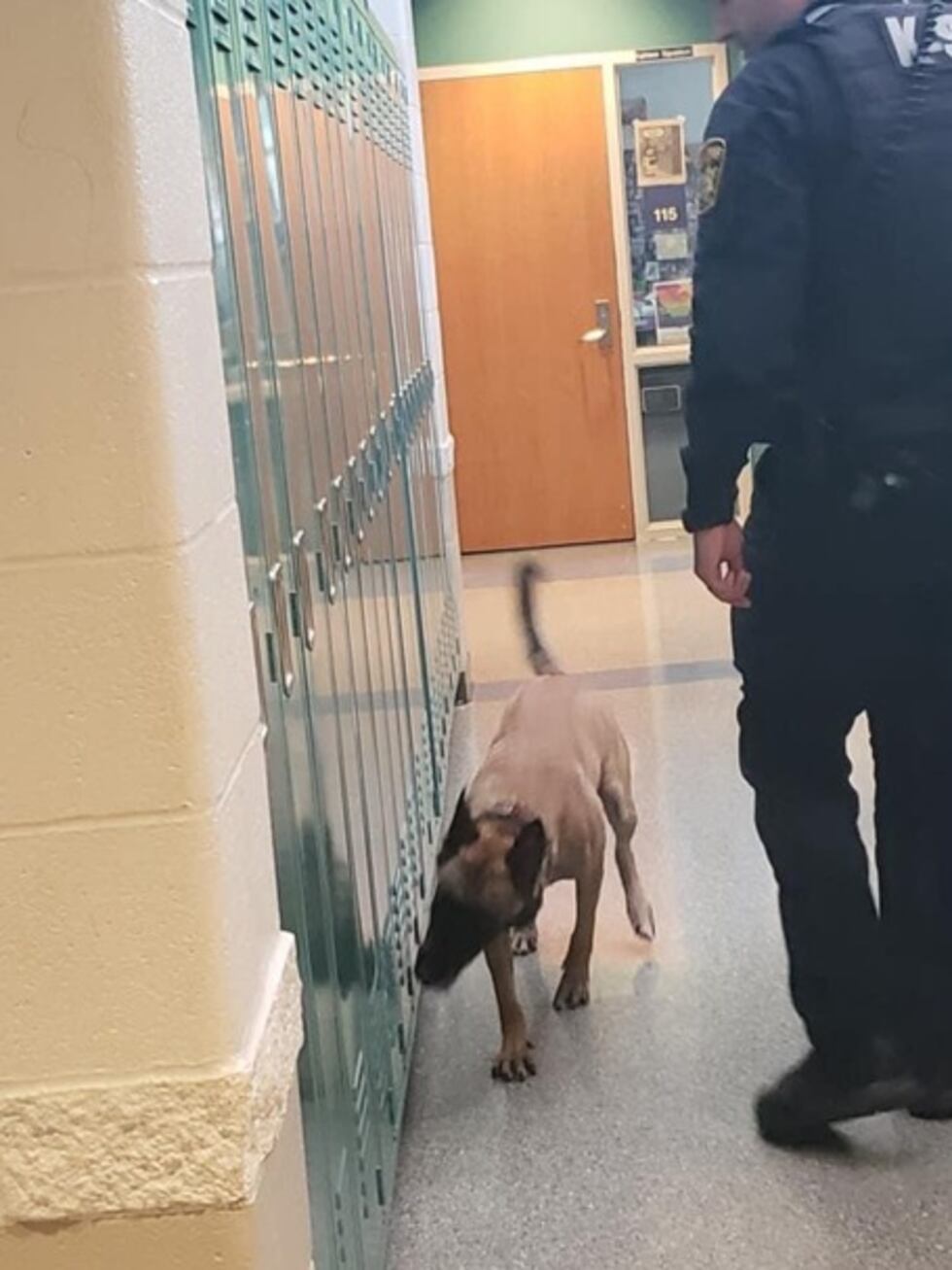 Franklin Co. K9 Drax