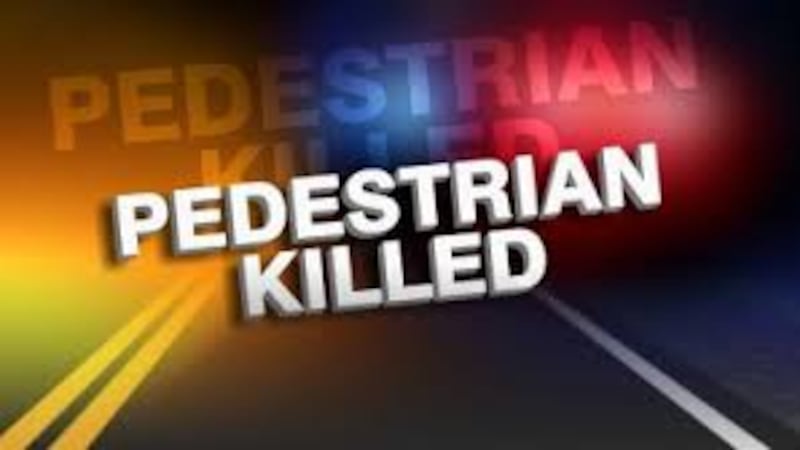 A 45-year-old Hutchinson man was struck and killed by a vehicle early Thursday on a highway in...