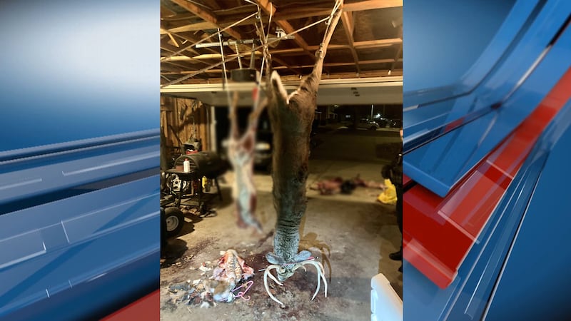 Poached deer hang in a Miami Co. garage. The original photo has been edited to blur out...